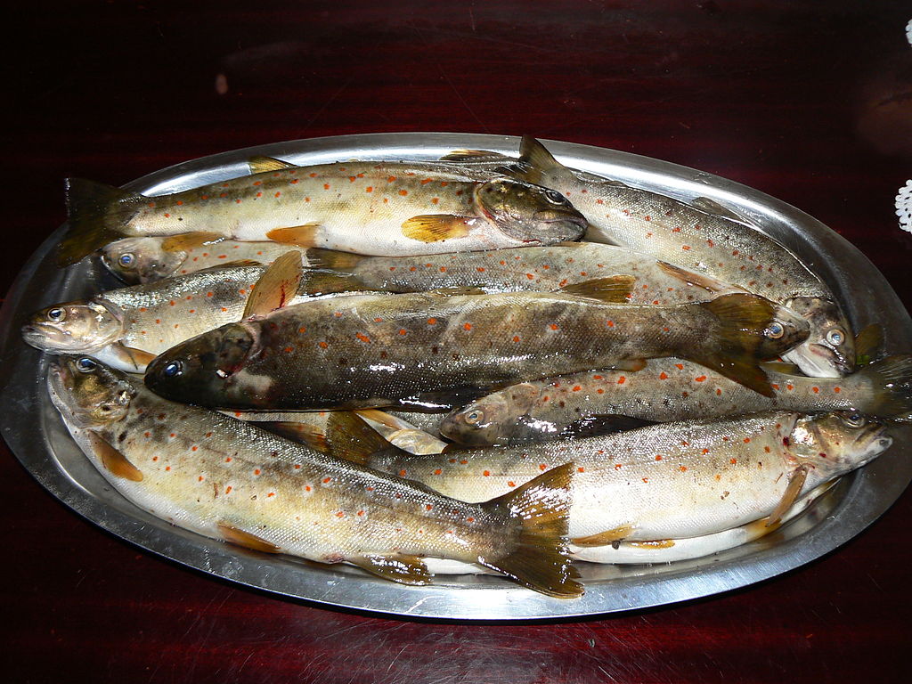 Cómo Hacer Unas Truchas En Escabeche Bajas En Calorías