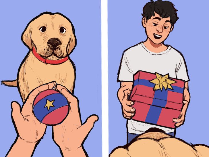 Cosas Que Hace Tu Perro Y Su Significado