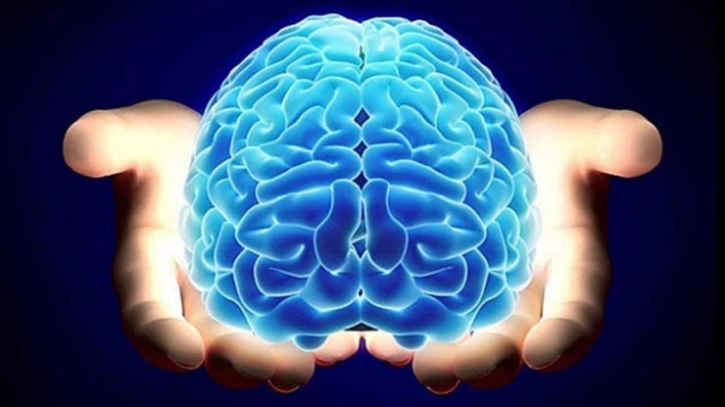 Esto Es Lo Que Le Hace El Covid-19 A Tu Cerebro
