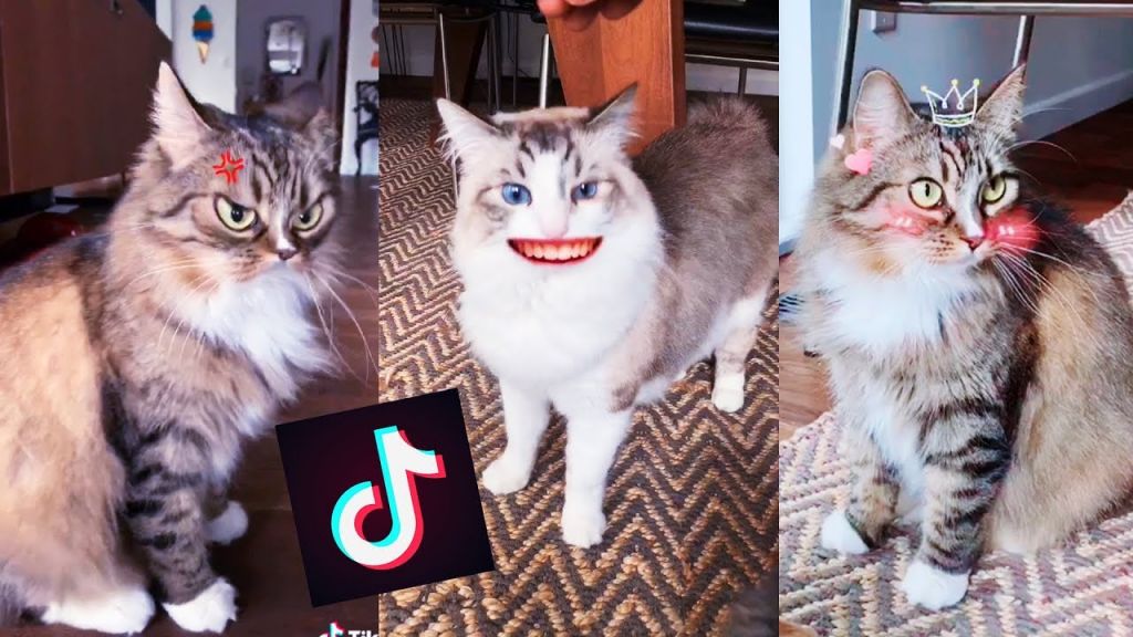 filtros videos