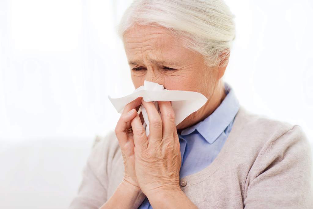 Gripe En Ancianos