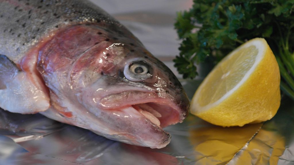 Cómo Hacer Unas Truchas En Escabeche Bajas En Calorías