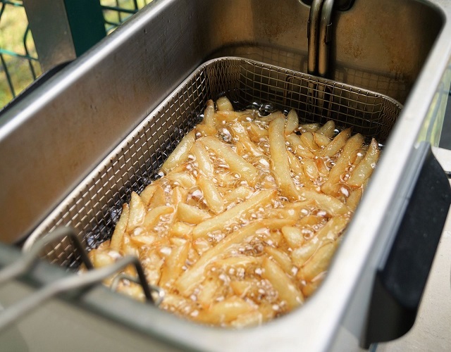patatas fritas freidora