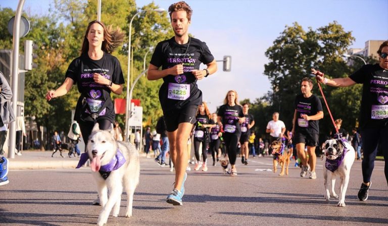 La carrera contra el abandono y maltrato animal ‘Perrotón’ se celebra hoy