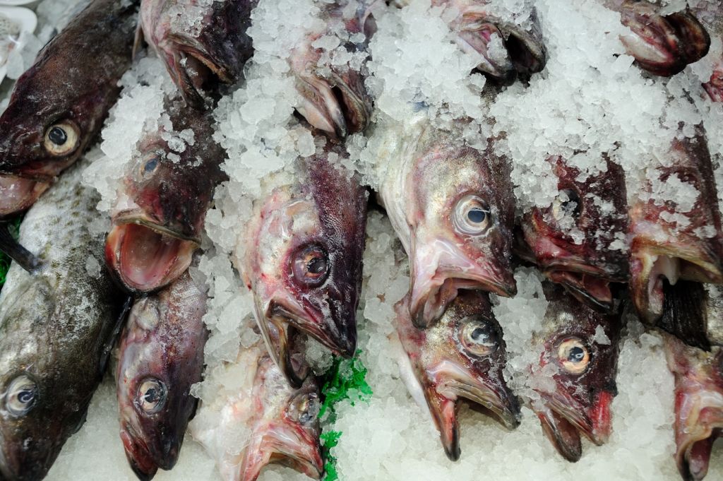 Cómo Hacer Unas Truchas En Escabeche Bajas En Calorías