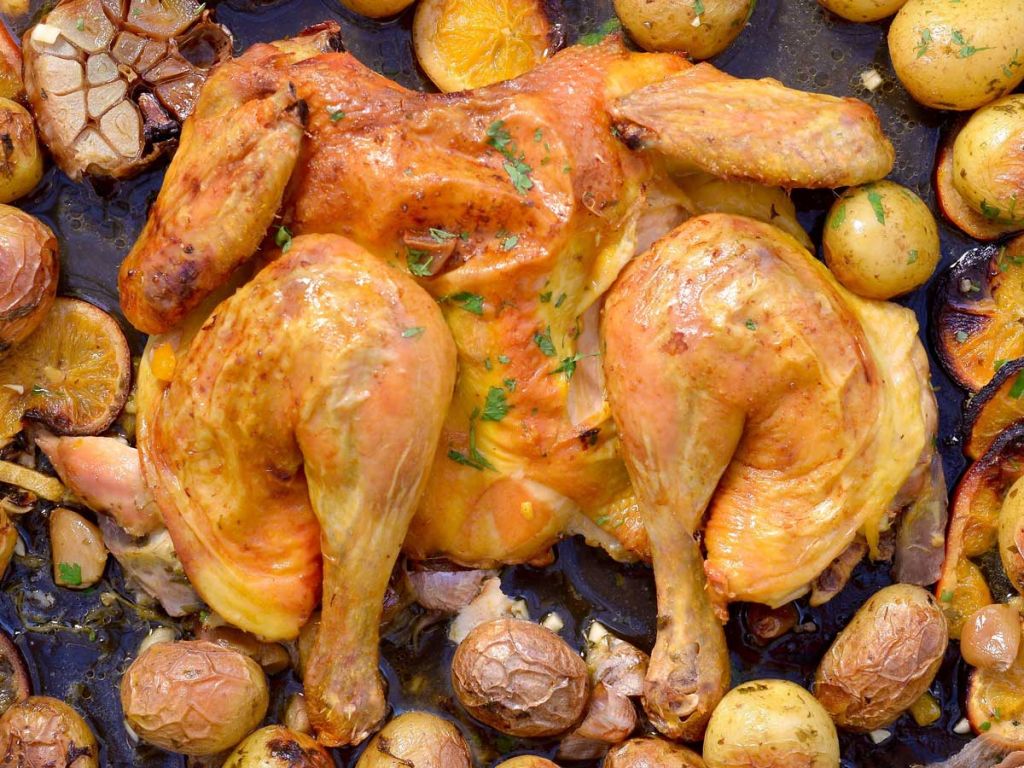 pollo