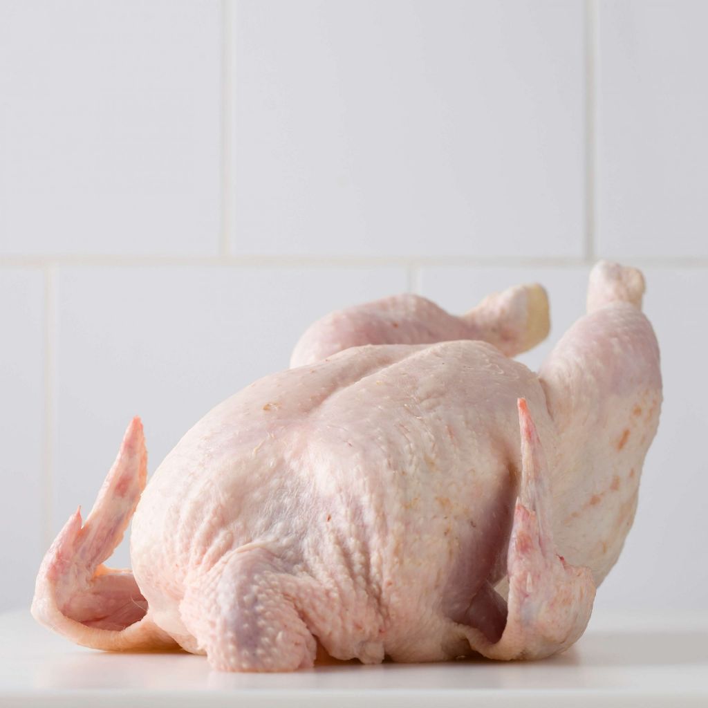 pollo