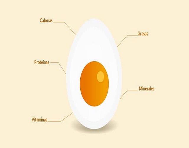 Proteinas Huevo