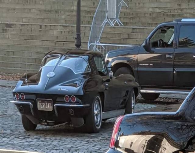 Stingray
