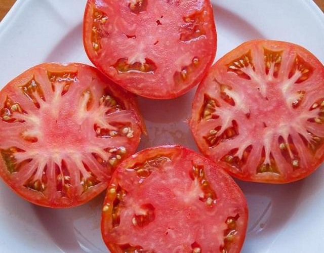 tomate aracena