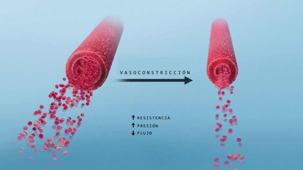 Vasoconstriccion Venosa Pies Frios