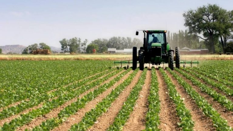 El sector agroalimentario se ha visto «reforzado» en la crisis del Covid-19