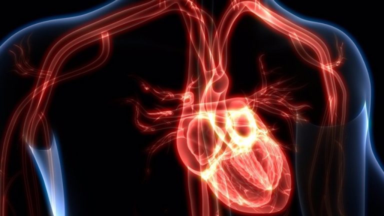 Implantación del ‘Código Shock’ logra que el 50% de los pacientes con shock cardiogénico sobreviva