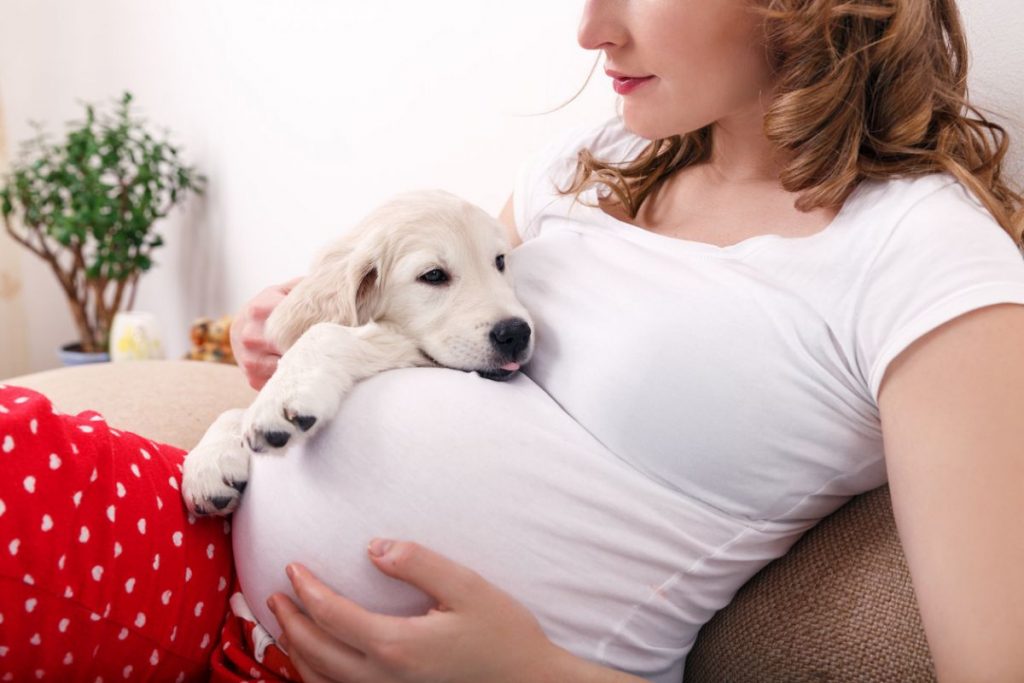 El Parto Que Puede Detectar Tu Perro Y No Le Estás Prestando Atención 