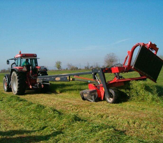 Patatas, brócoli y ajos multiplican su precio hasta por nueve del campo a la mesa