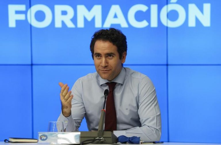 Egea dice que Vox tiene que decidir si «está con los andaluces» o si «vota con el el PSOE-A»
