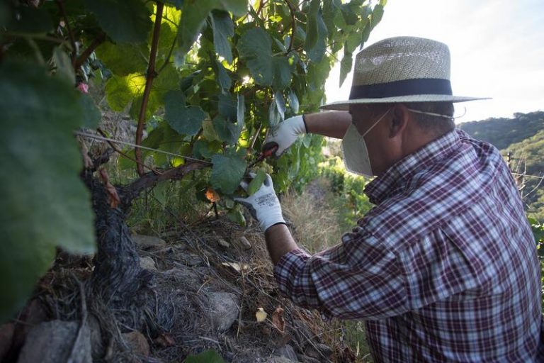 Eurocámara aprueba el pacto con China para proteger productos con denominación de origen