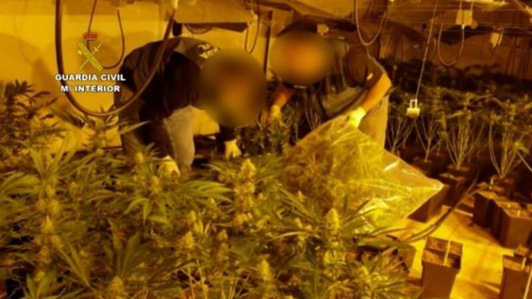 Treinta detenidos de una banda que distribuía marihuana en Europa