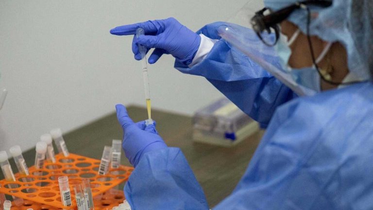 Andalucía registra 61 muertes por Covid y 2.085 positivos
