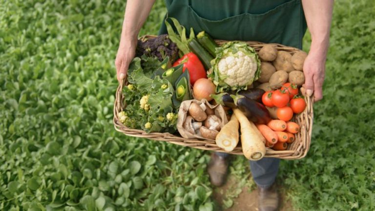 Unidas Podemos plantea un registro de contratos en la Ley de cadena alimentaria