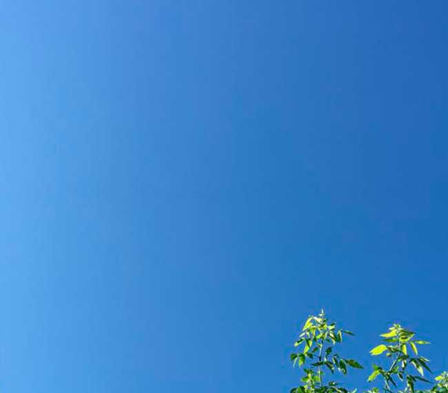 Continúan los cielos poco nubosos o despejados en el país, excepto en el norte