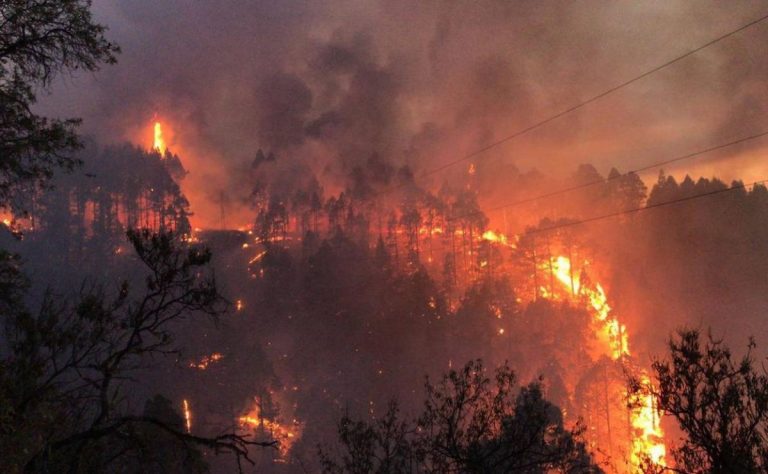 El Gobierno destina 600.000 euros a obras para restaurar los daños del incendio de La Palma