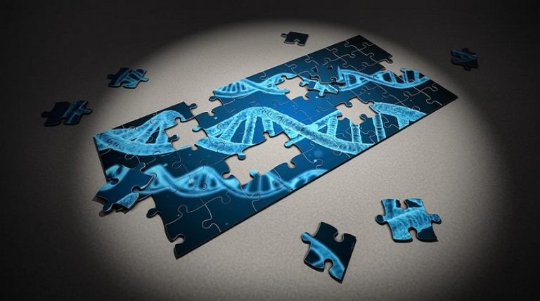 Conoce los Tests de ADN más revolucionarios