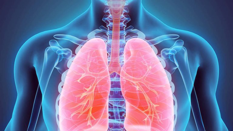 La mejor inversión para tus pulmones: este alimento saludable te ayuda a respirar mejor