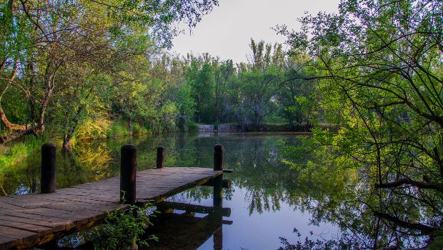 Bosque Finlandés De Rascafría