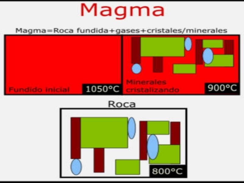 Composicion Quimica