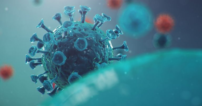 Canarias registra 148 nuevos contagios en las últimas 24 horas