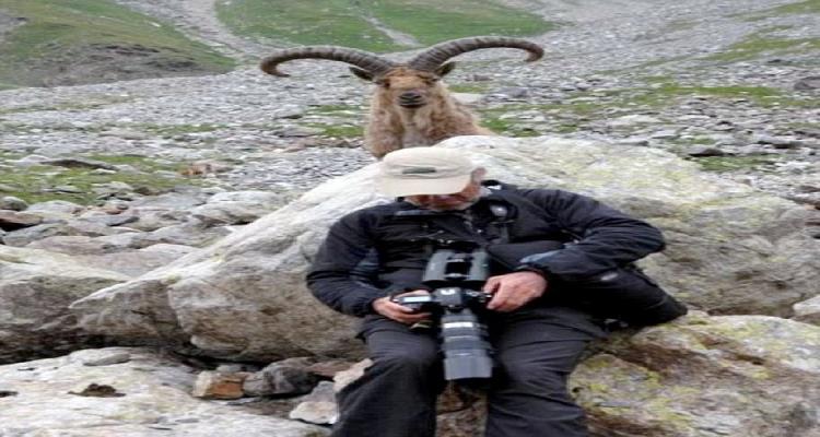 Animales Que Se Han Colado En Fotos Que Te Harán Reír