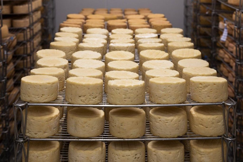 El Procesamiento Del Queso