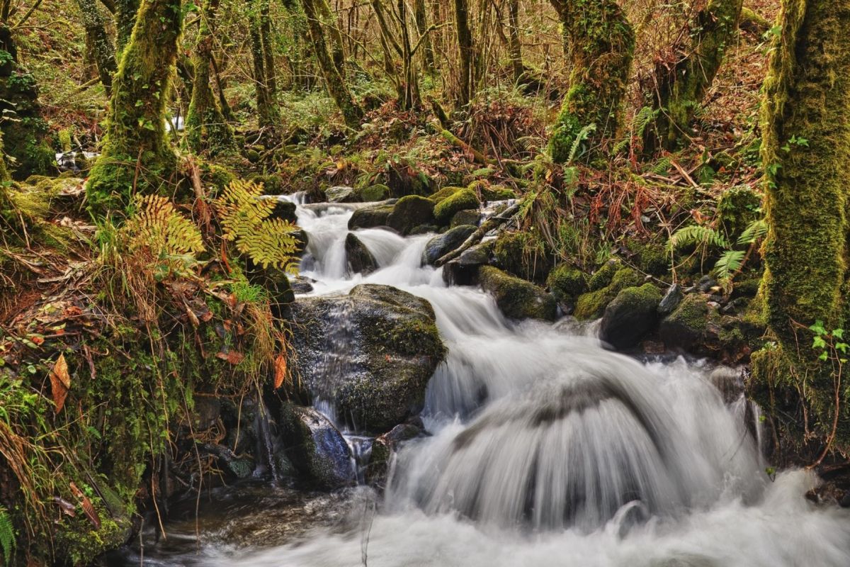 Fragas Do Eume En Galicia