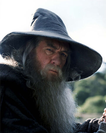 Gandalf El Gris, El Señor De Los Anillos.