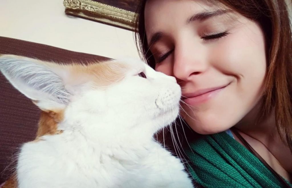 Cómo Ser El Mejor Amigo De Un Gato (Sin Sufrir Por El Camino)