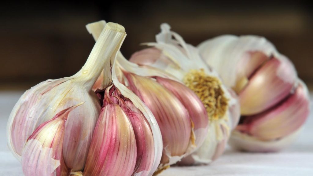 Infusión De Ajo