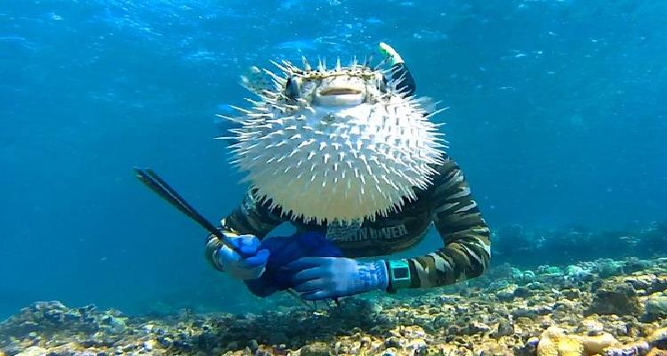 Animales Que Se Han Colado En Fotos Que Te Harán Reír