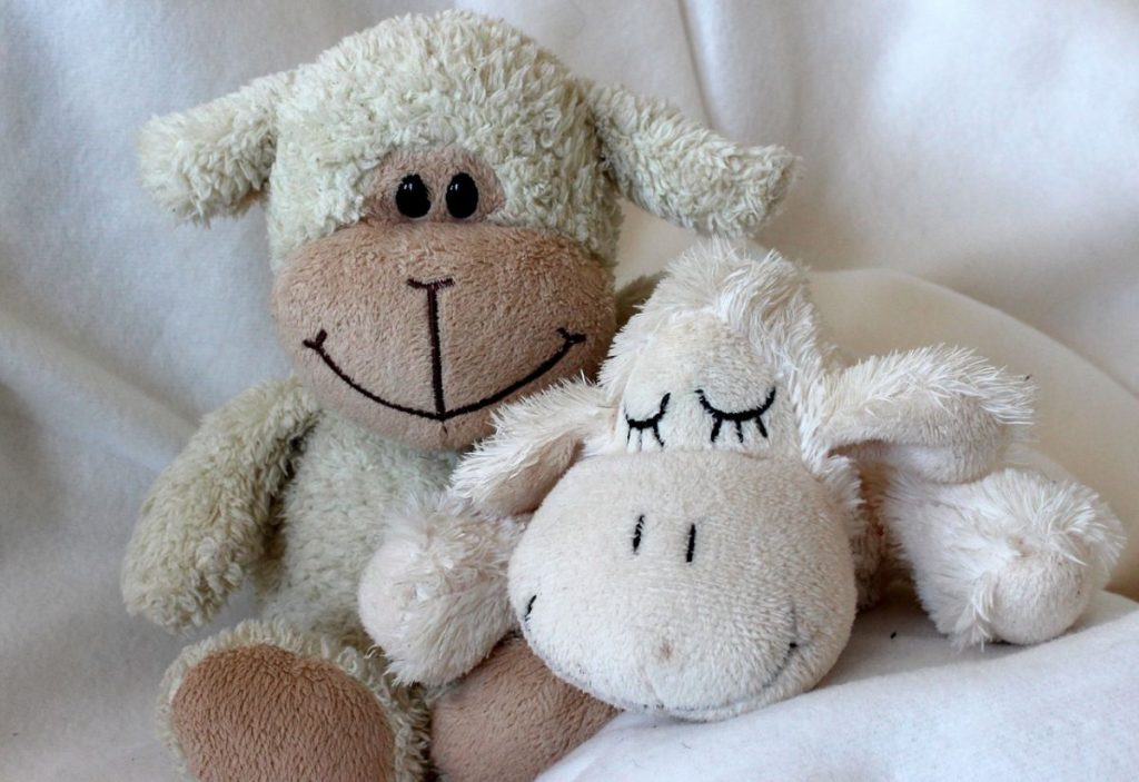 Osos De Peluche Juguetes Sexistas