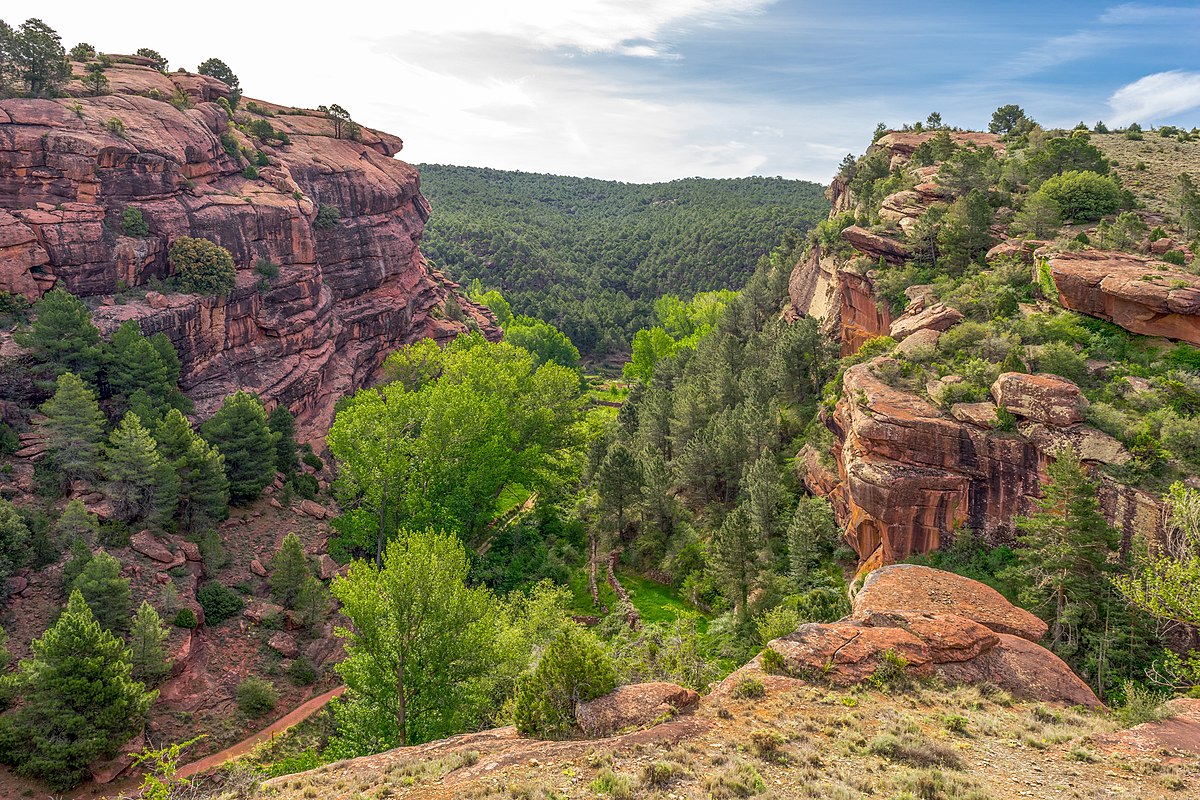 Pinares De Rodeno (Aragón) - Bosques De España