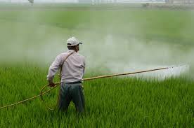 Viticultores, olivareros y científicos de varios países europeos investigan soluciones para reducir pesticidas