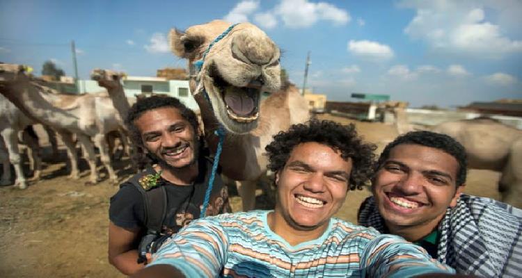 Animales Que Se Han Colado En Fotos Que Te Harán Reír