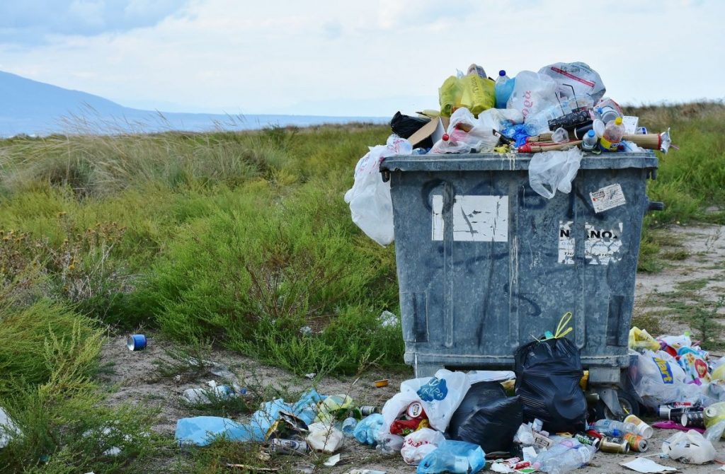 La Basura Es Un Foco Para Las Moscas