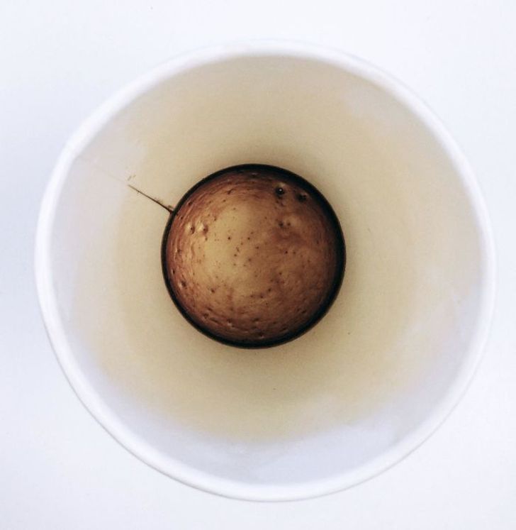 ¡Son una trampa! Las fotos que no parecen lo que de verdad piensas 148 planeta