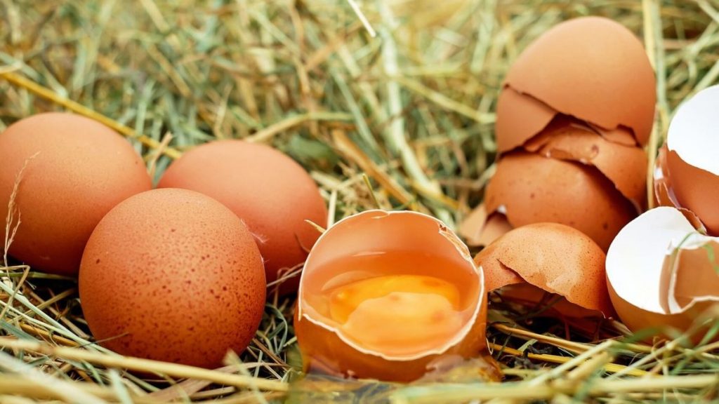Cómo Saber Si Un Huevo Está Bueno