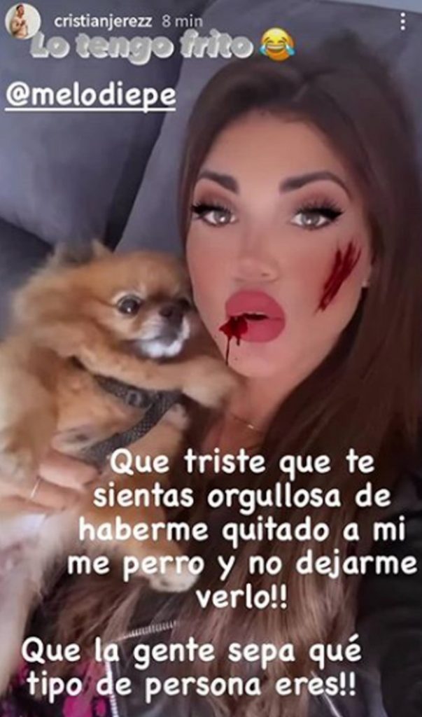 La 'Storie' De La Discordia, En El Que Melodie Peñalver Posaba Con El Perro.