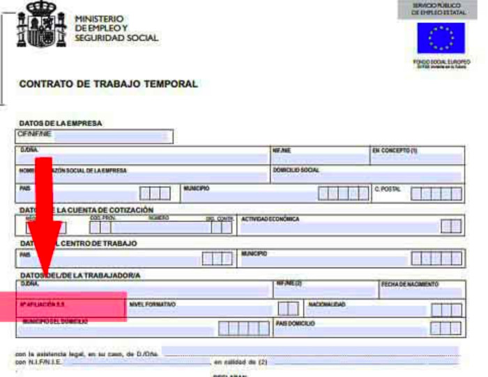 Dónde Conseguir El Nuss