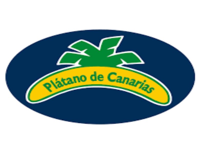 origen del plátano de Canarias