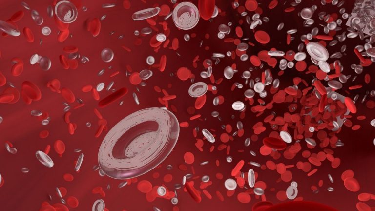Así se puede predecir tu salud según cómo sea tu sangre y el dinero que tengas