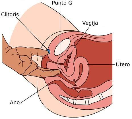 Pasos En Punto G Para Squirt